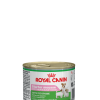 Royal Canin STARTER mousse